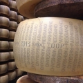 Il Parmigiano Reggiano