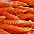 Carota del Fucino