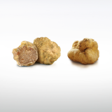 White Truffles Make Italy