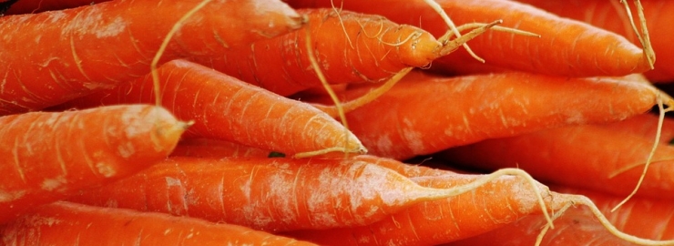 Carota del Fucino