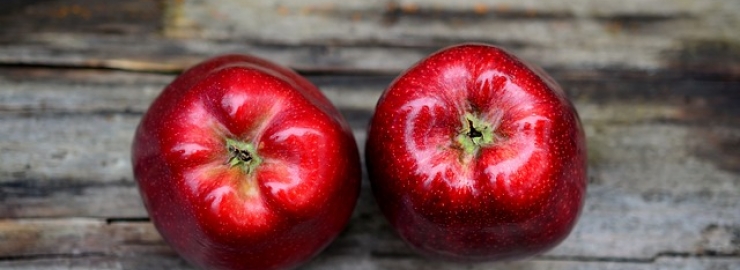 La Mela Val di Non è l'unica mela ad aver ottenuto il prestigioso riconoscimento della DOP. 